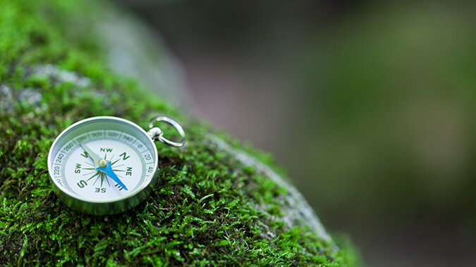 Close-up of a compass on a moss-covered log. Focus on the north direction.