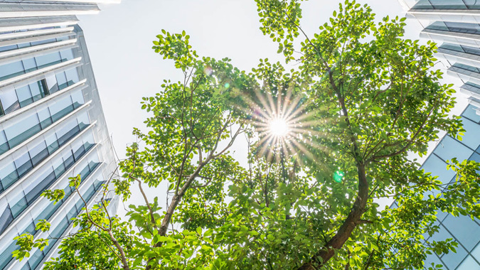 Buildings seen from below with trees, sun and sky.